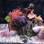 펜션 Maison Familiale Proche Nausicaa