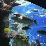 Maison Familiale Proche Nausicaa