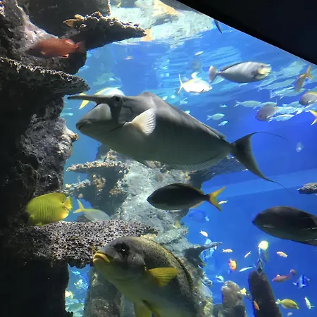 Maison Familiale Proche Nausicaa