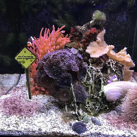 Maison Familiale Proche Nausicaa *